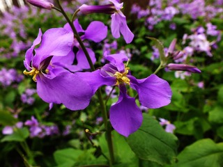 DSCF0042副本.jpg