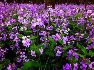 DSCF0065副本.jpg