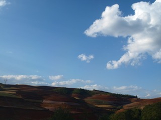 P5011645