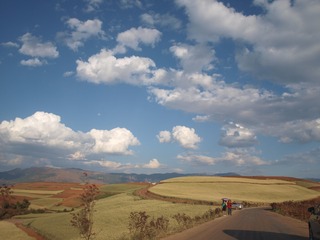 P5011617
