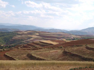 P5011505