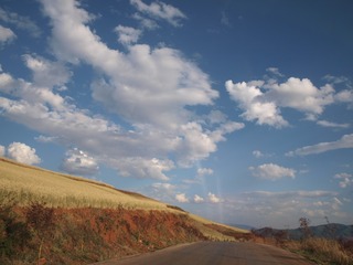 P5011627