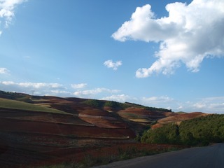 P5011643
