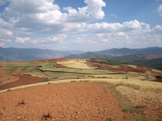 P5011528