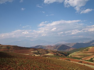 P5011537