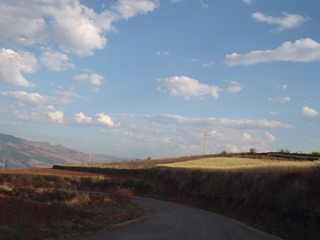 P5011633