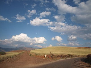 P5011621