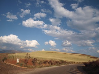 P5011622