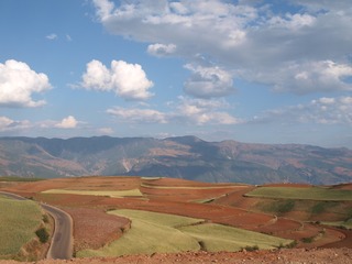 P5011600