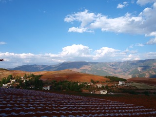 P5011649