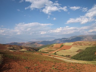 P5011541