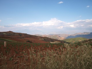 P5011581
