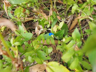 IMG_20131026101719_01