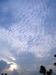 2008.08.02 大学城