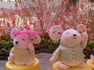 Hello~