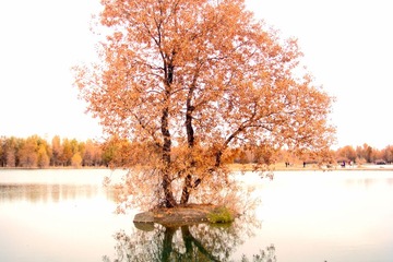 DSC01995.JPG