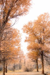 DSC02006.JPG