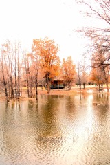DSC02017.JPG