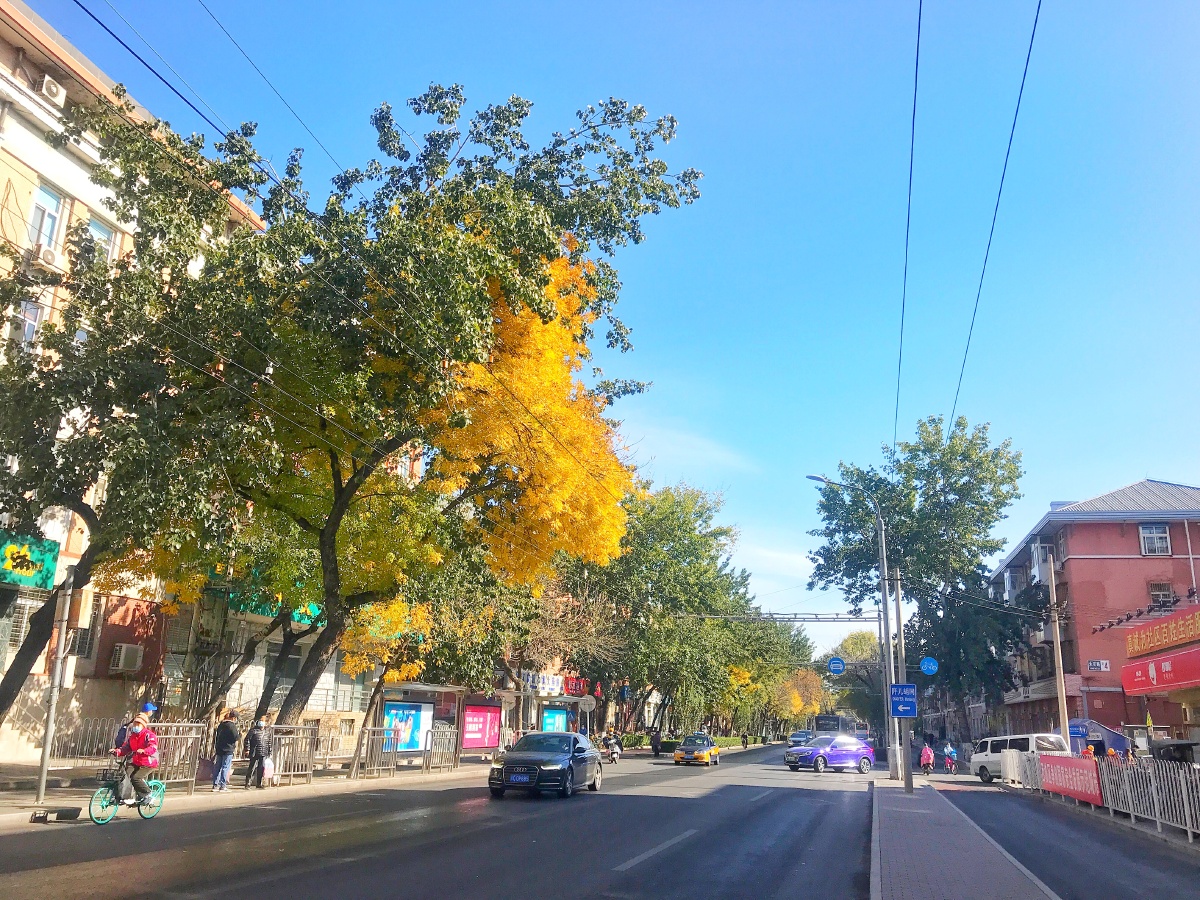 北京秋天街道