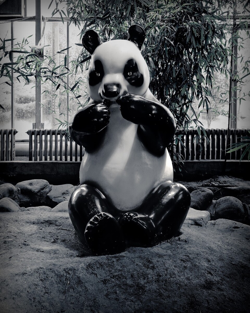 华西欢迎你Ⅲ 2009