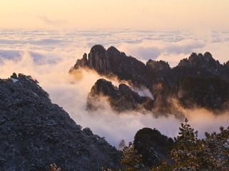 贾云昌 IMGP8882--1.jpg