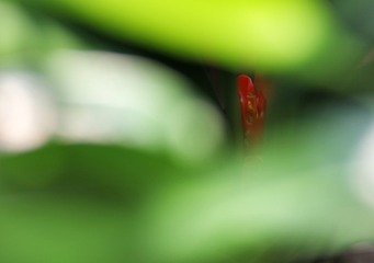 3563847