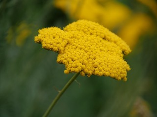 279878