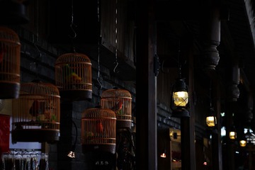 _MG_3752.jpg
