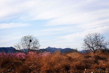 _MG_4050.jpg