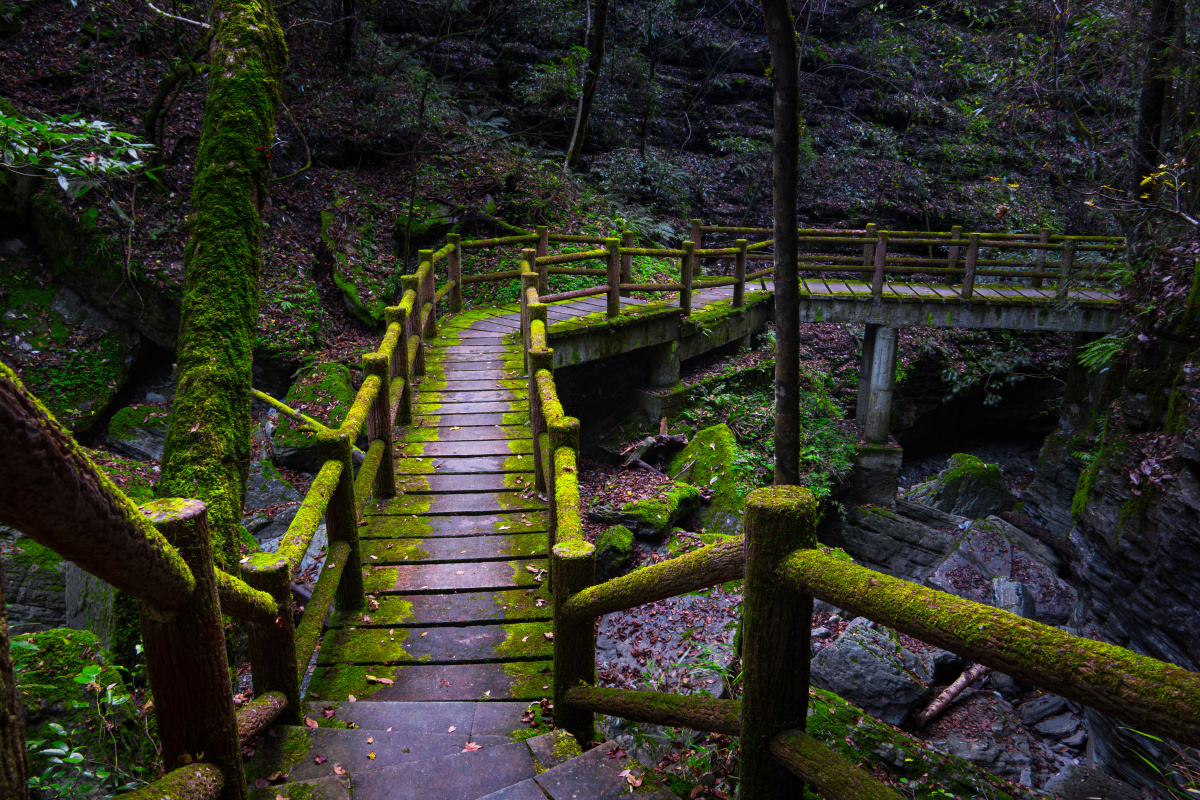 四川广元鼓城山随拍