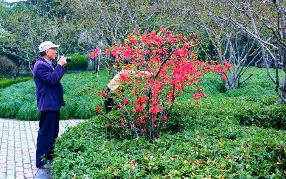 拍花- 渡心人 - 图虫网 - 优质摄影师交流社区