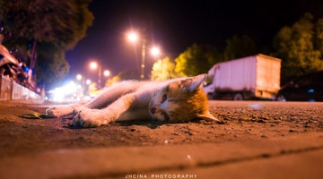 一件悲伤的事