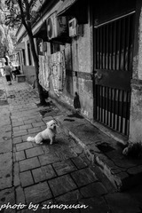 泉水人家-23