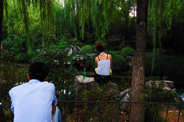 “_DSF7695”为智能对象-1
