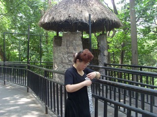 SI850972.JPG