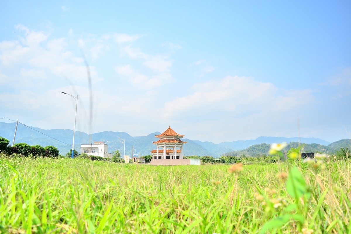 美丽乡景,摄于广东揭西县龙潭镇汤坝村.