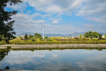 83072