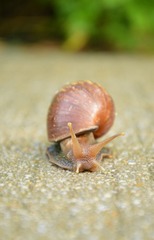 DSC_0108.jpg