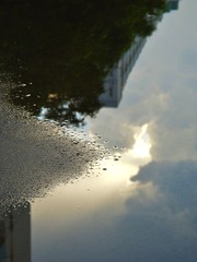 DSC_0178.jpg