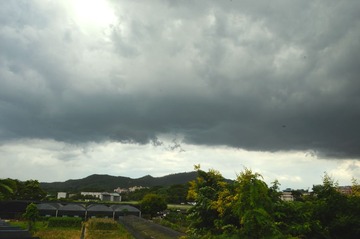 DSC_0003.jpg