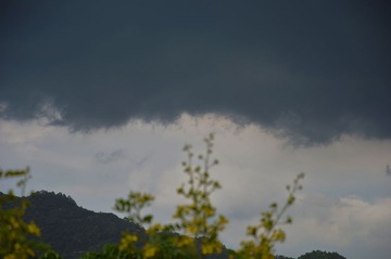 DSC_0017.jpg