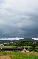 DSC_0038.jpg