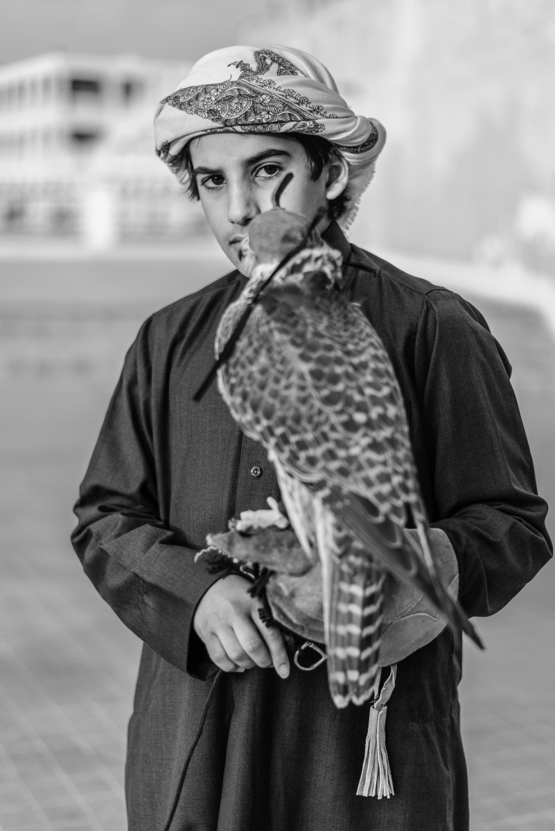 阿拉伯少年与隼