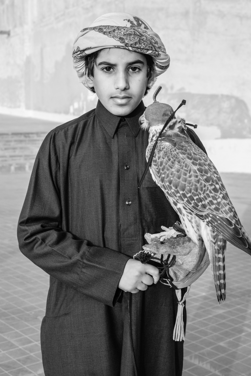 阿拉伯少年与隼