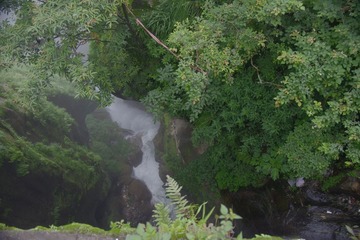 IMGP1595.JPG
