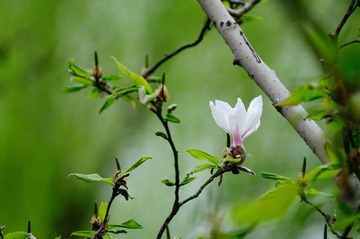 DSC_1927.jpg