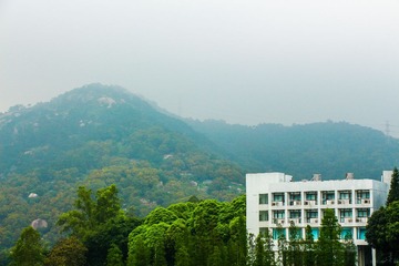 IMG_9193.JPG