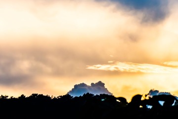 _MG_0538.jpg