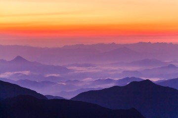 _MG_3260.jpg