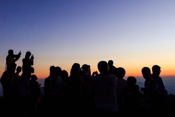 _MG_3305.jpg